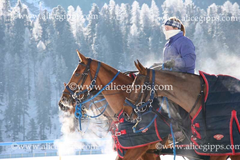 St. Moritz snow polo